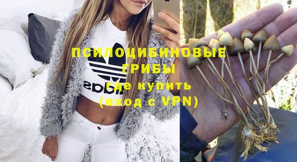 дурь Арсеньев