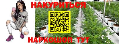 молекула духа Малоярославец