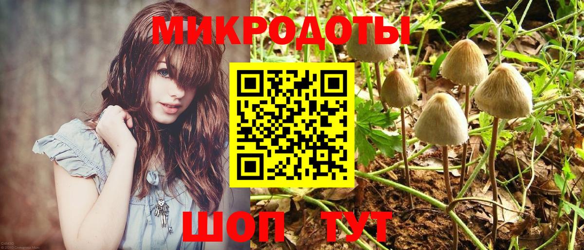 Псилоцибиновые грибы ЛСД Геленджик