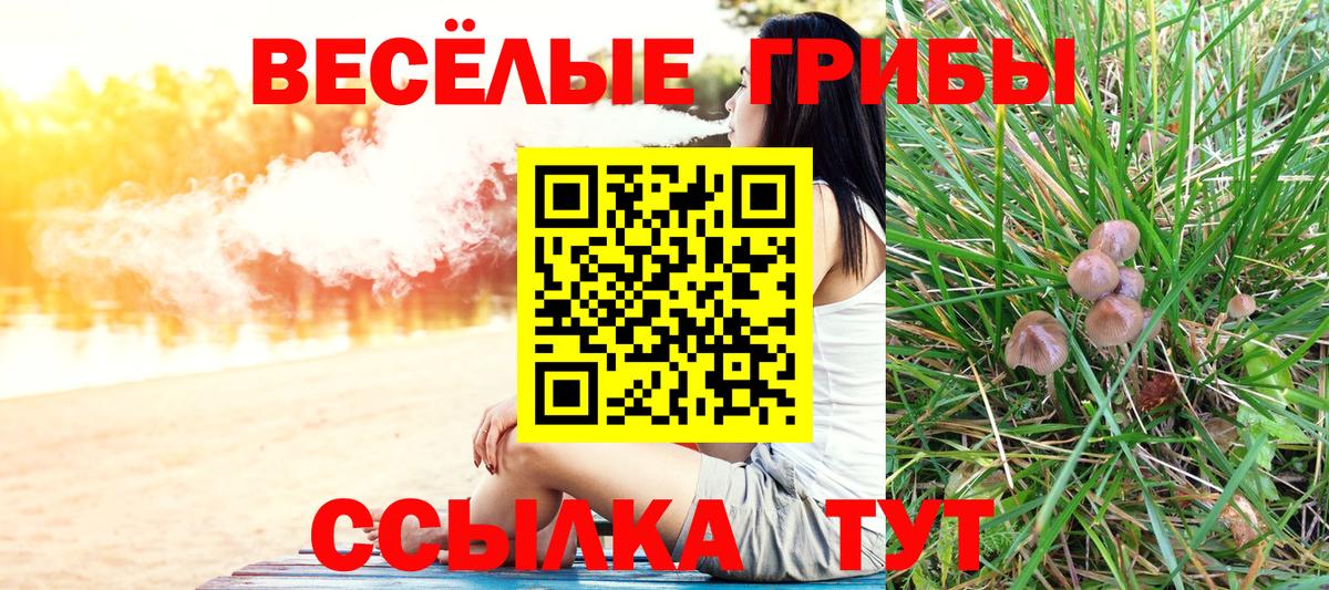 дарнет шоп  Псилоцибиновые грибы Cubensis  Геленджик  Вход с VPN  Галлюциногенные грибы ЛСД 